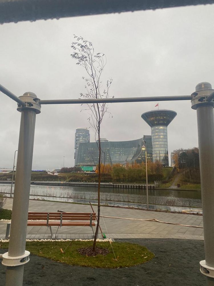 Городская воркаут площадка, г. Красногорск